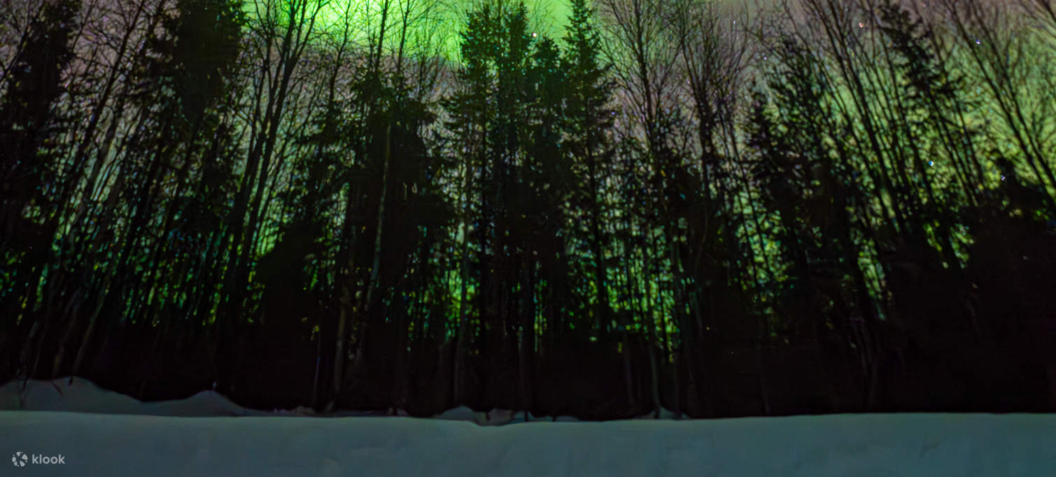 写真撮影付きオーロラ鑑賞ツアー