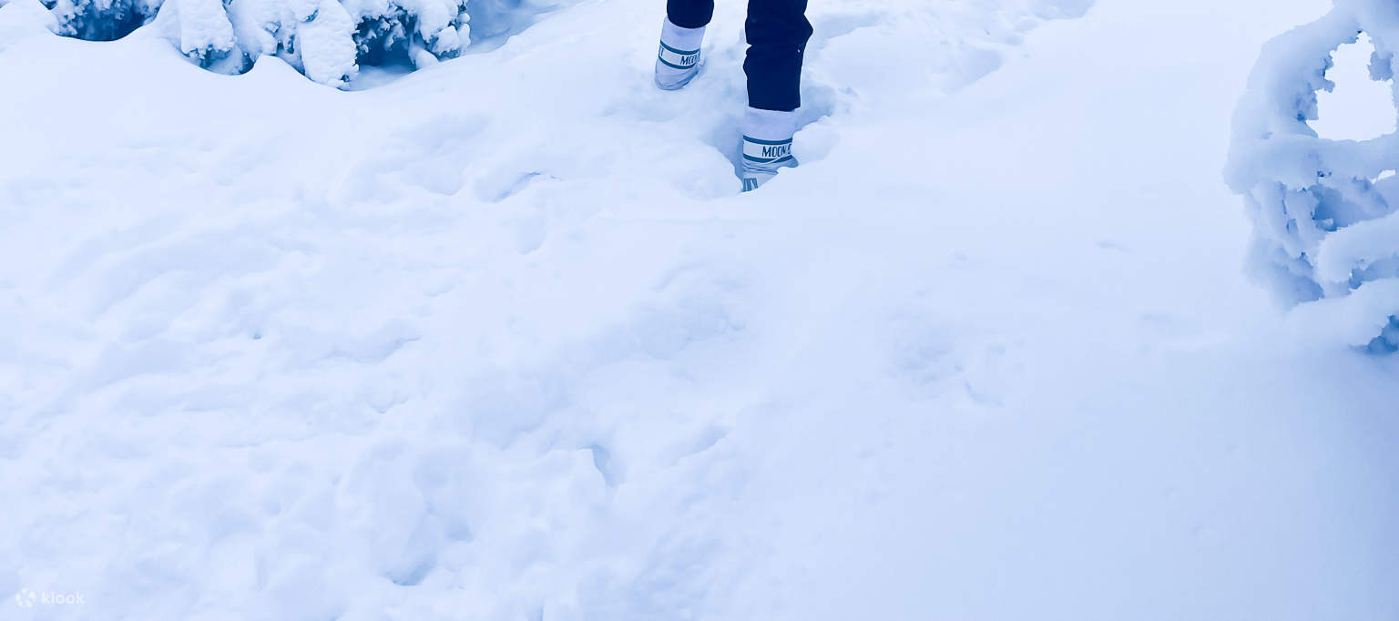 裡西山國家公園（Riisitunturi National Park）徒步之旅
