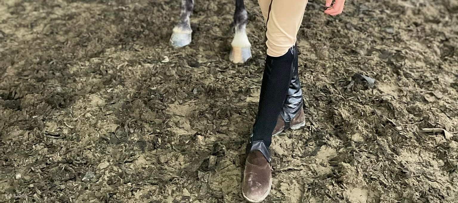 Esperienza di equitazione