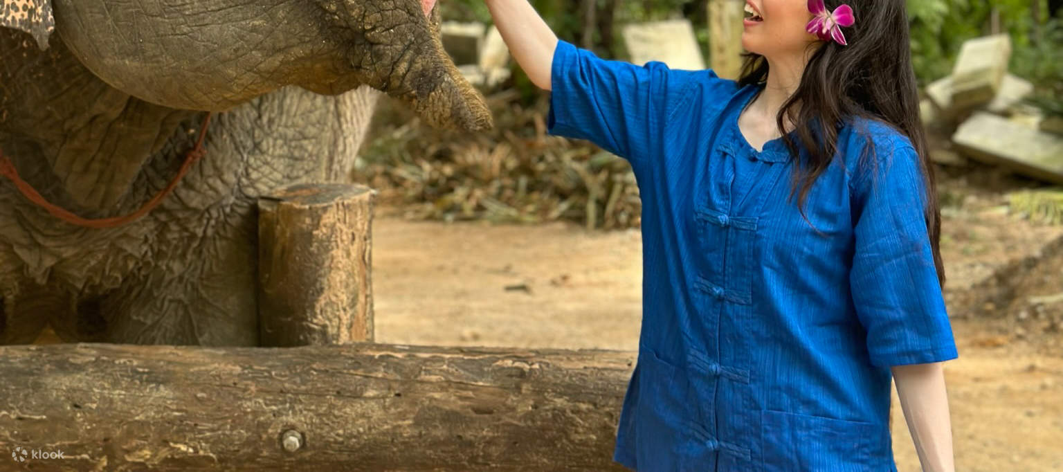 Krabi: Mangrove Kayak x Elephant Shelter Tour with Private Transfer