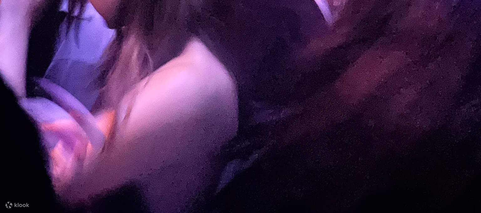 パーティー参加者