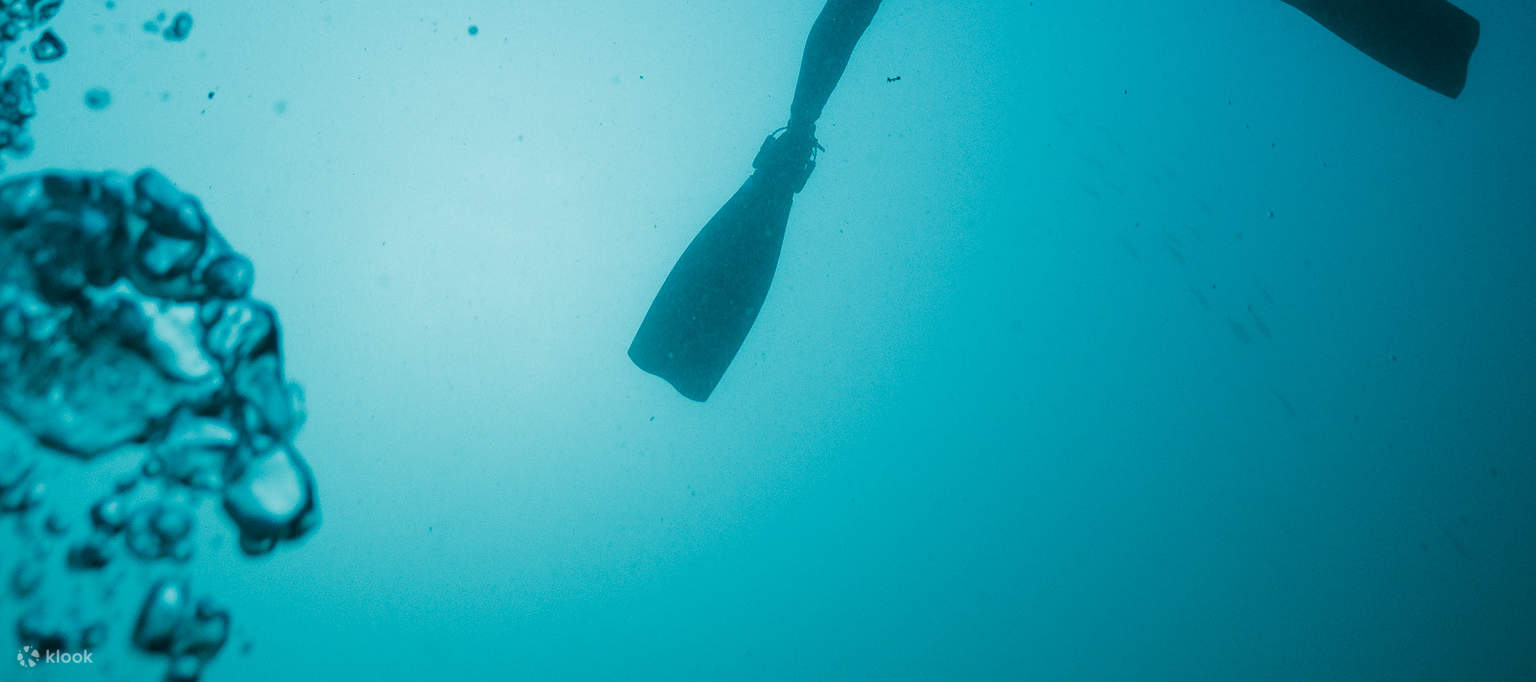 PADI Discover Scuba Diving