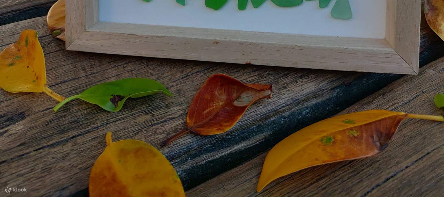 Chất thải biển DIY-Khung ảnh thủy tinh biển