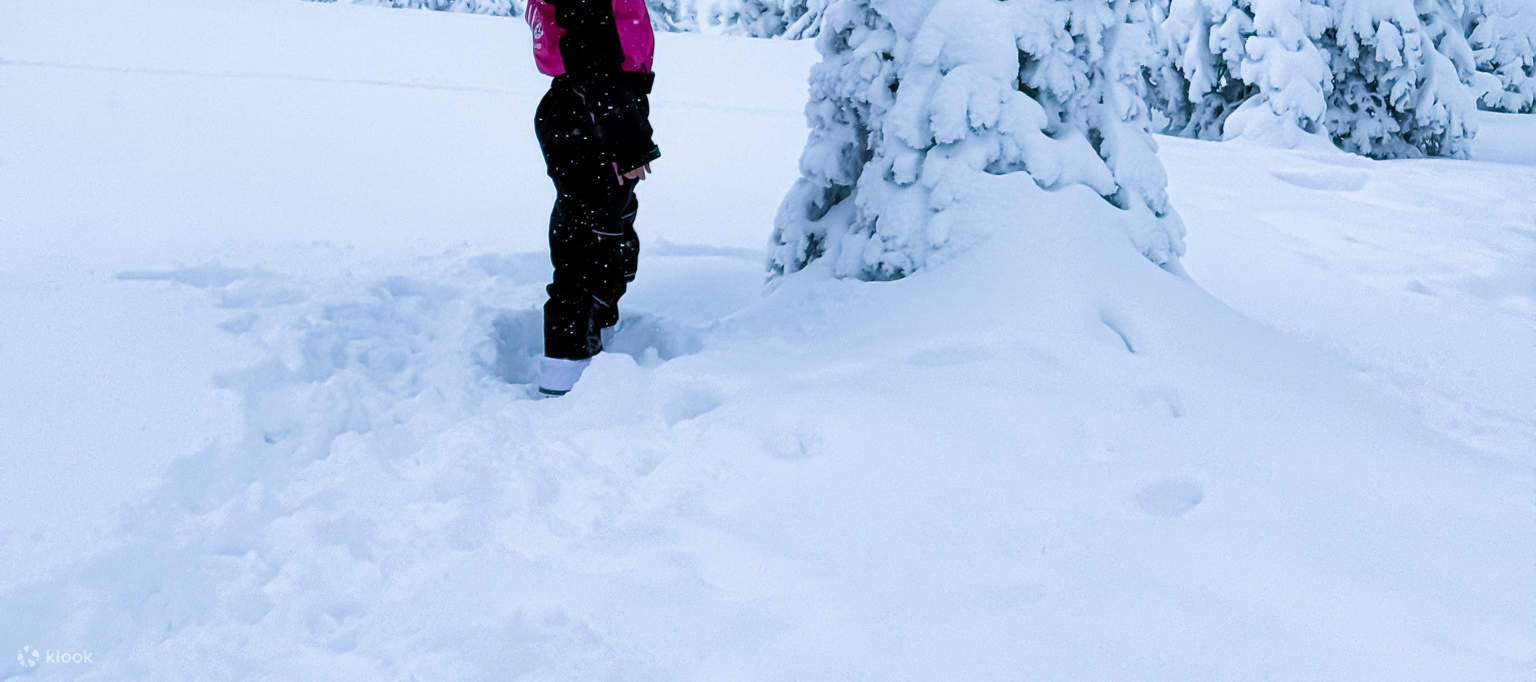 裡西山國家公園（Riisitunturi National Park）徒步之旅
