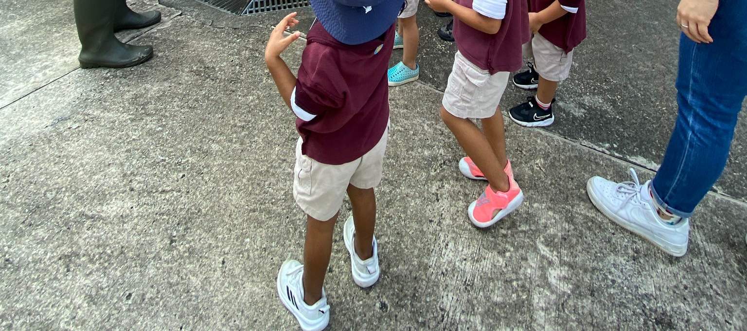 [TEL4 Exclusivo de Klook] Vistas del Este con Puesta de Sol