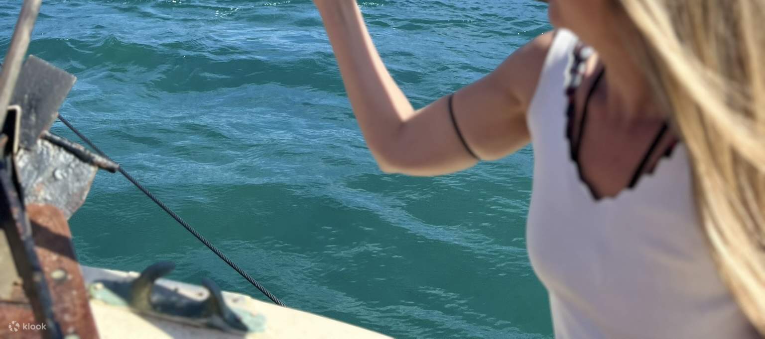 산토리니: 화산, 온천, 티라시아 보트 크루즈