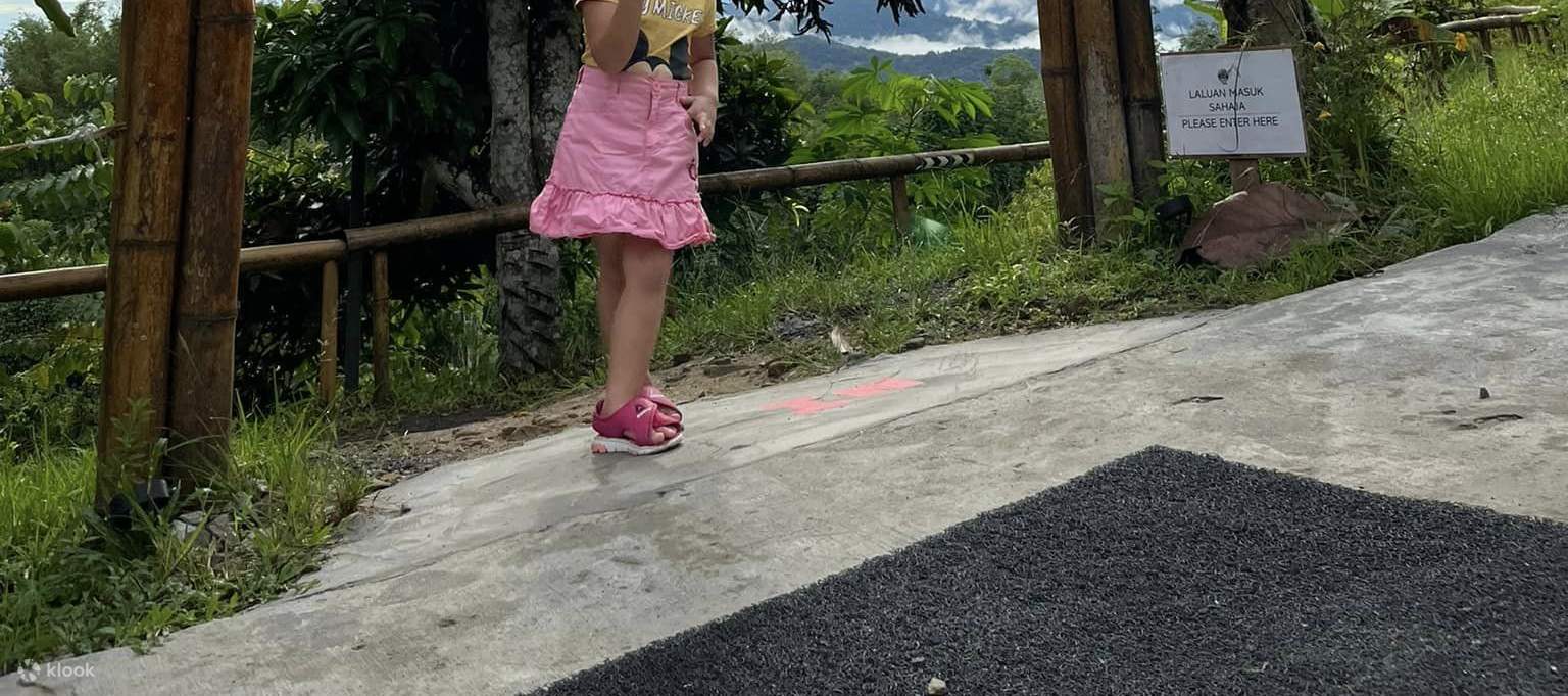 쥬라기 랜드 키울루