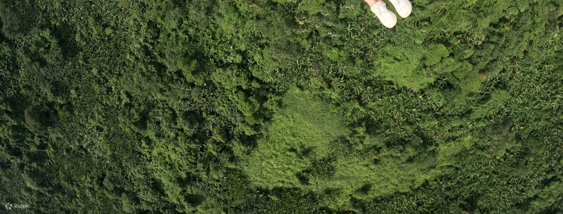 ハノイパラグライダーツアー – フライトサイトへの往復送迎付き