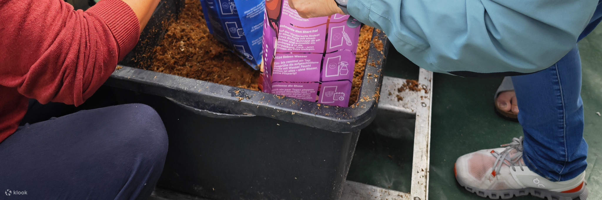 Nhóm tự mình đổ chất nền vào hộp trồng nấm.