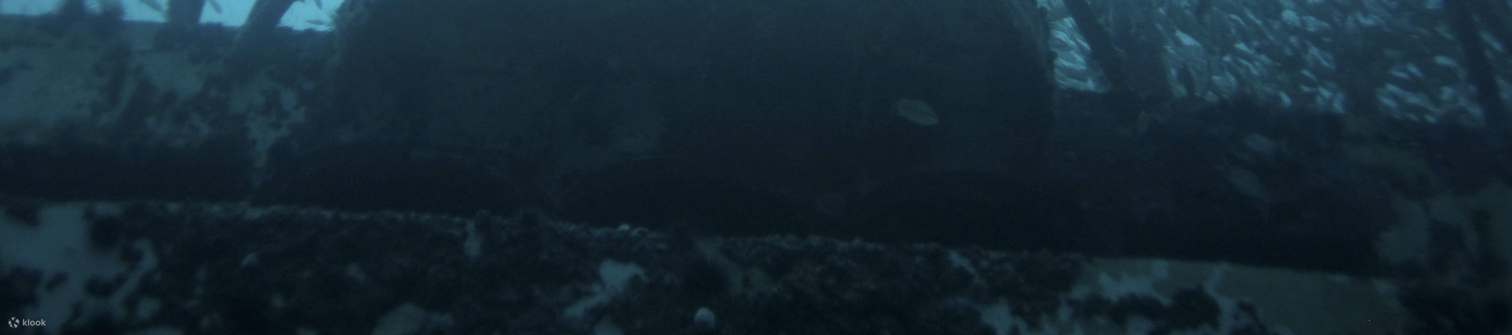 PADI開放水域進階潛水員課程一級