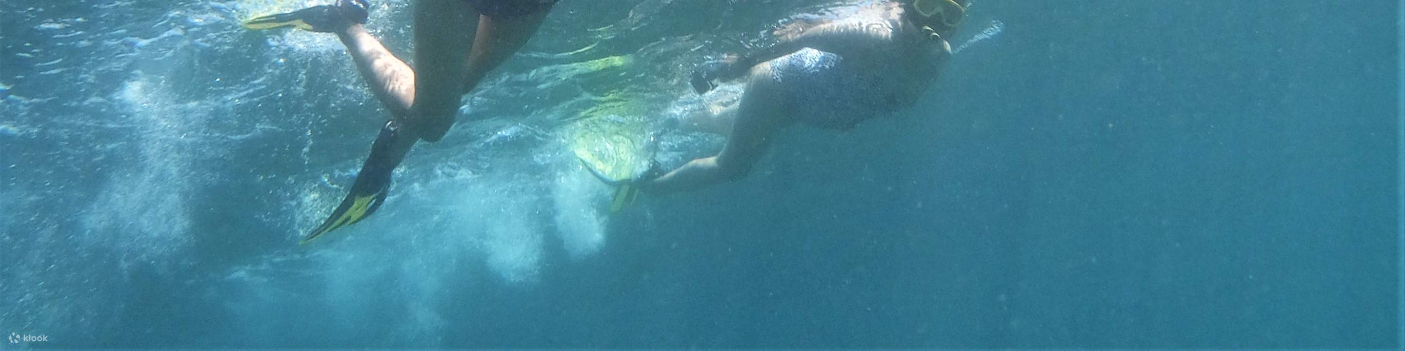 Turtle Island, Glass Bottom Boat, Mangrove Cruise by JTB Indonesia