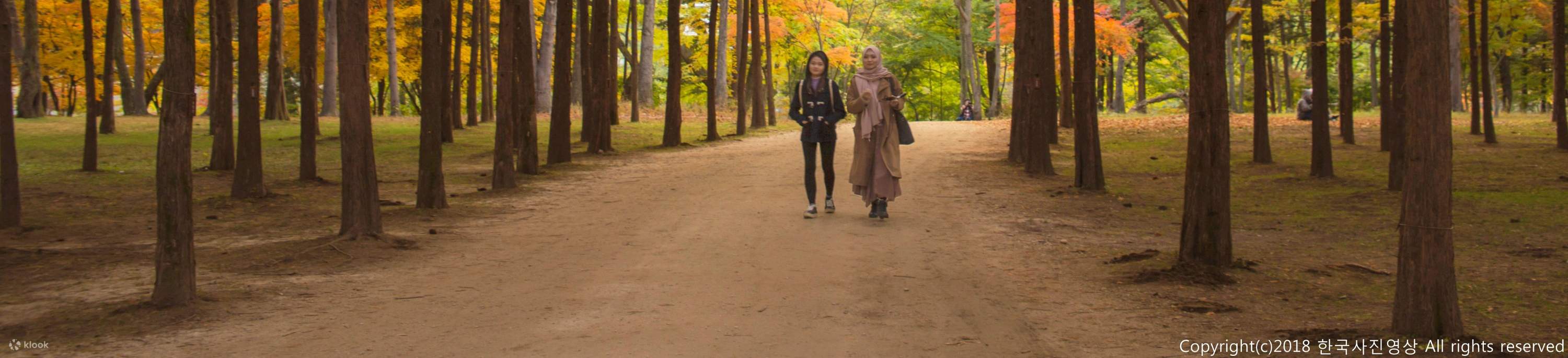 Билет на остров Нами