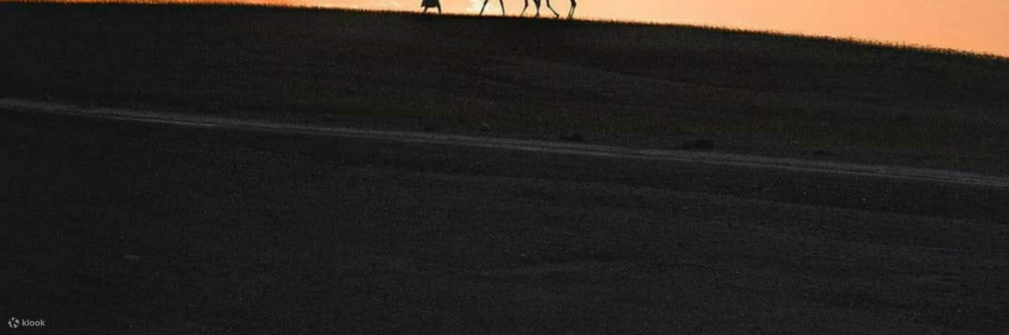 naik unta saat matahari terbenam