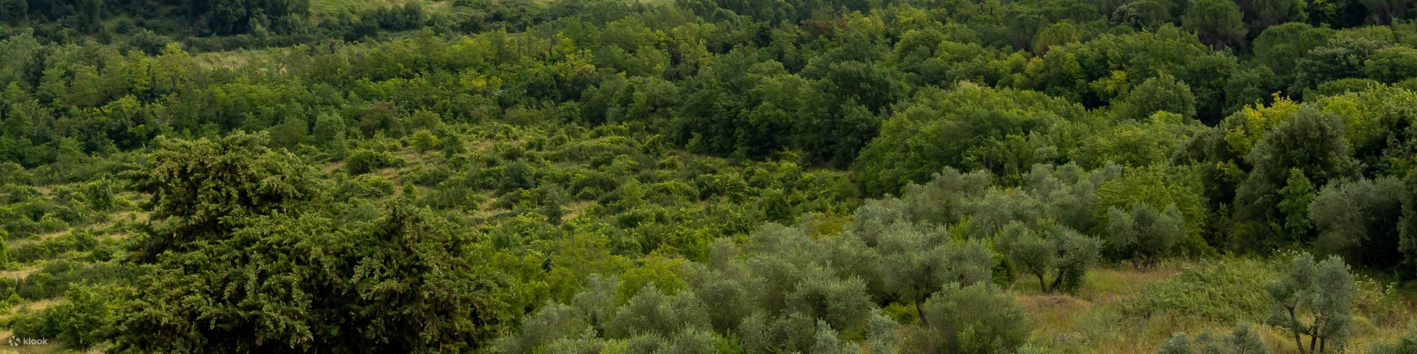 Savourez l'atmosphère charmante de la région du Chianti, entourée de collines ondoyantes