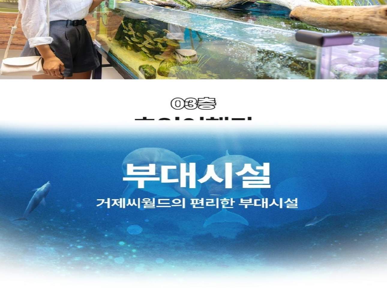경남 거제 씨월드 입장권