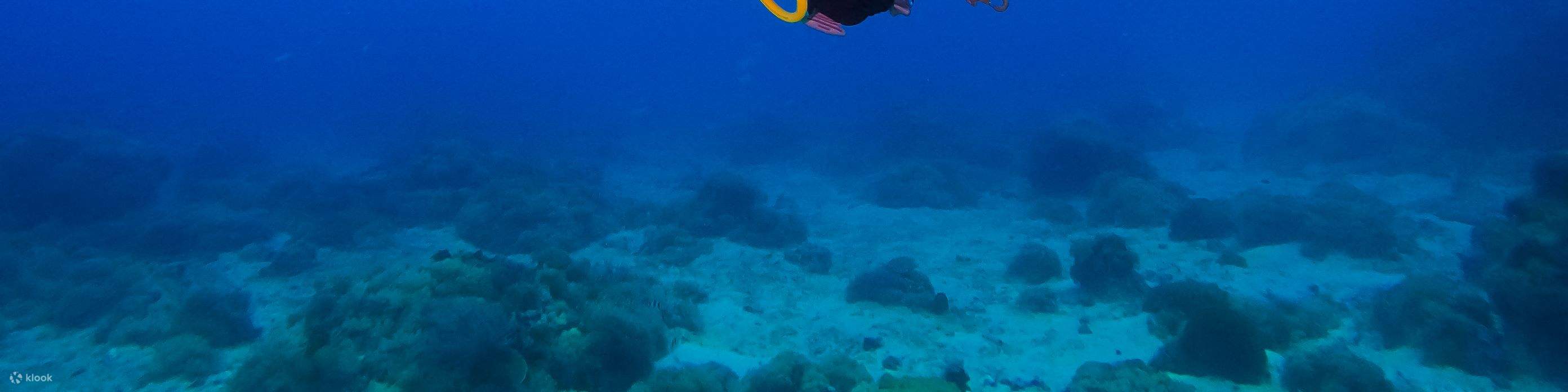 Taitung: Green Island Shuiqing Diving Hostel Taucherlebnis