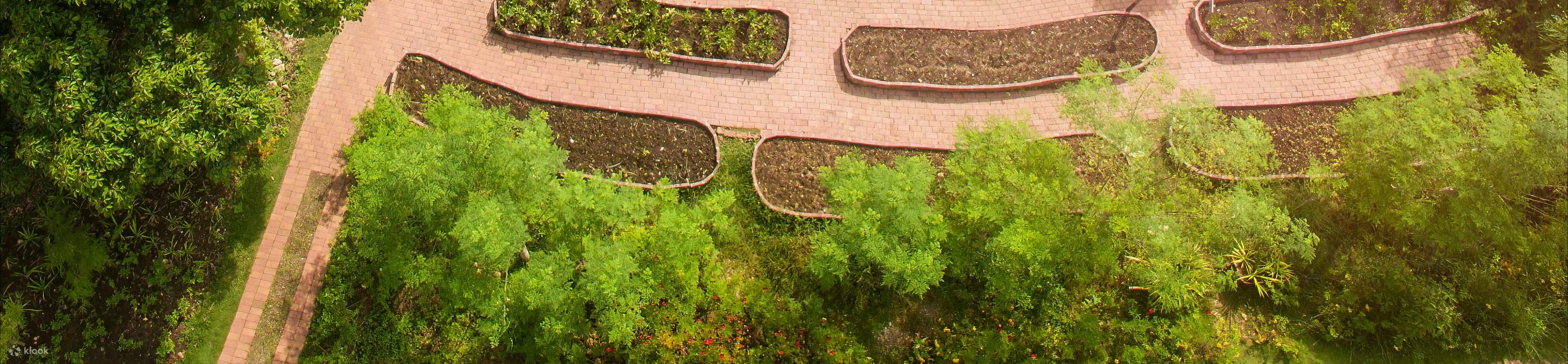 사우스 팜 아티산 빌리지