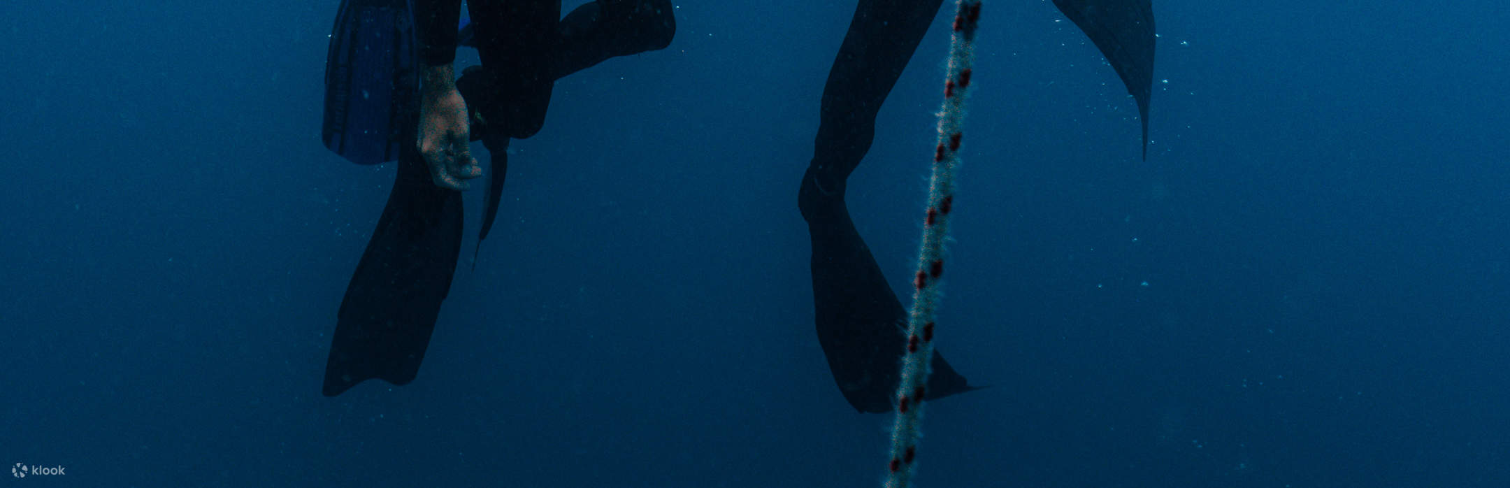 Фридайвинг с профессионалом