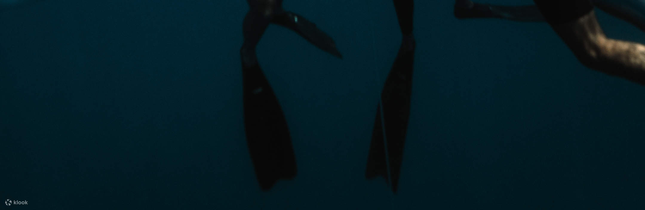 2 дня фридайвинга