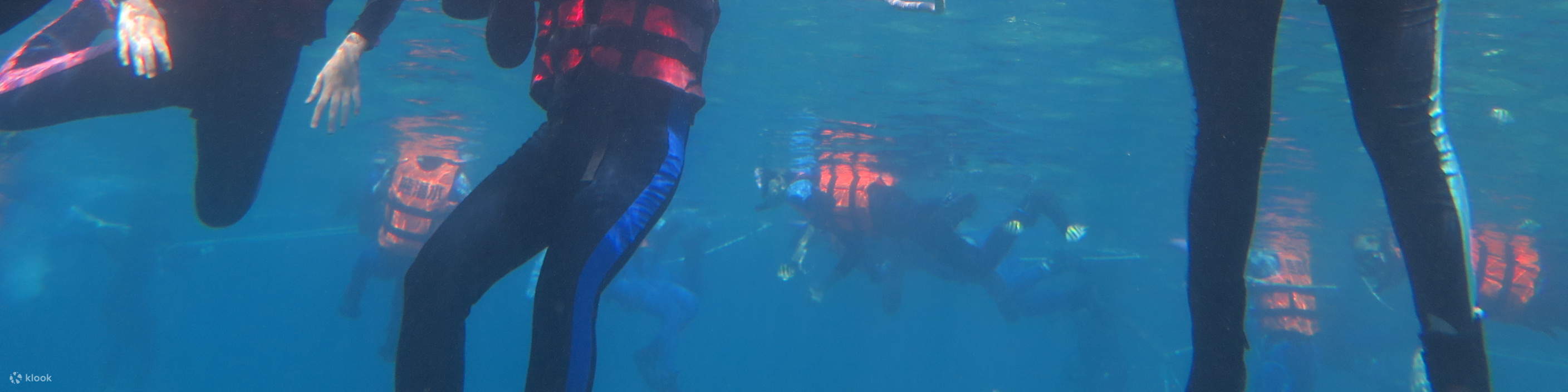 샤오류치｜스노클링 체험 & 바다거북과 함께 수영｜6인 동반 시 1인 무료