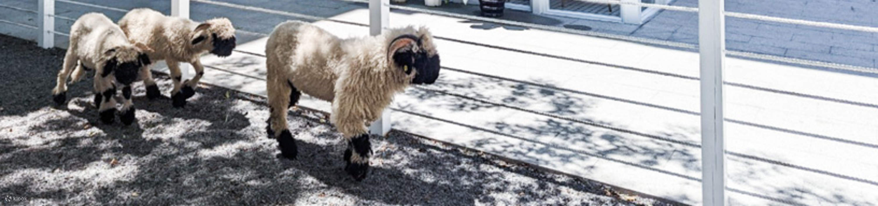 Yilan｜Lü Wu Japanischer Themenpark｜Eintrittskarten・DIY-Erlebnisse