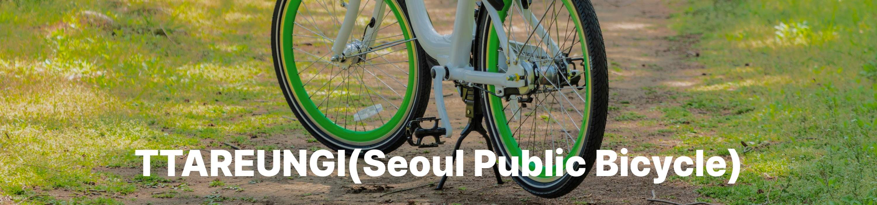 ディスカバーソウルパス