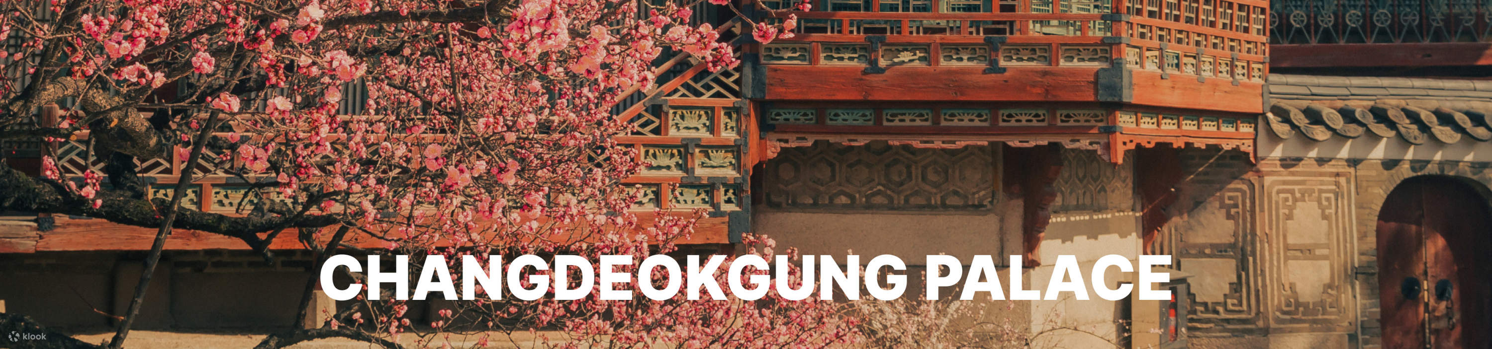 ディスカバーソウルパス