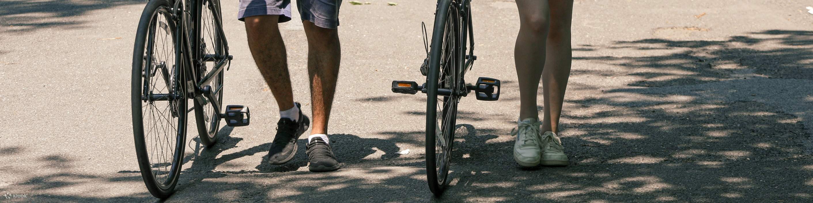 Passeggiate tranquillamente insieme mentre una coppia cammina con le biciclette lungo il bellissimo Central Park.