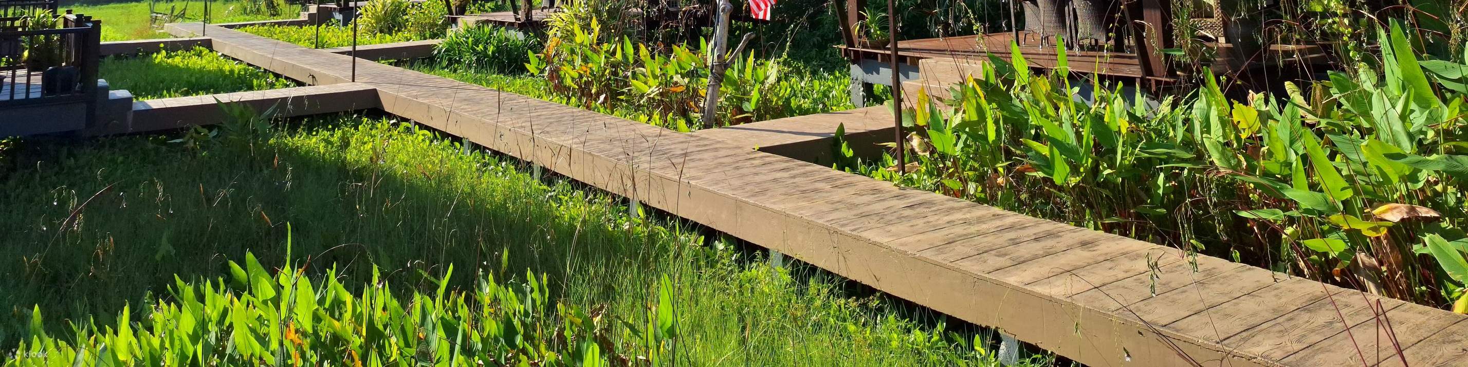 เทอราตัก ชาเลต์