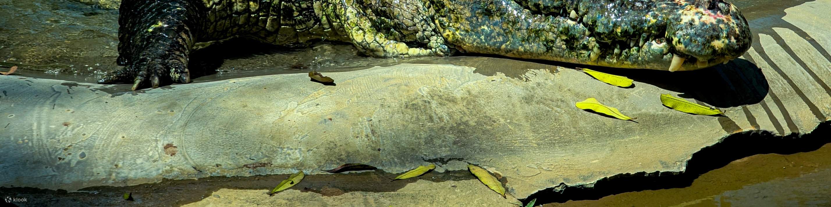 Langkawi Wildlife Park Ticket