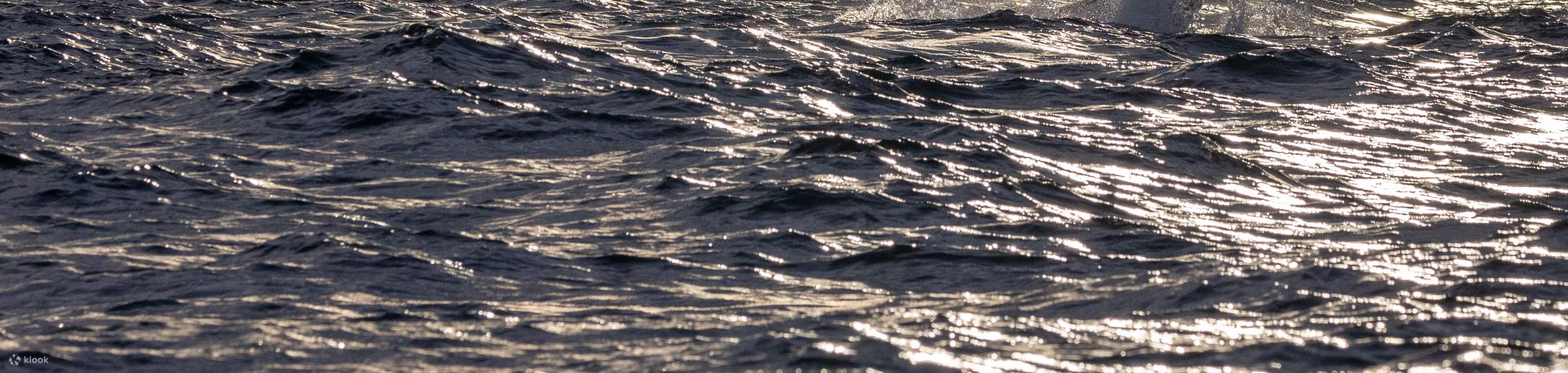 владелец лодки