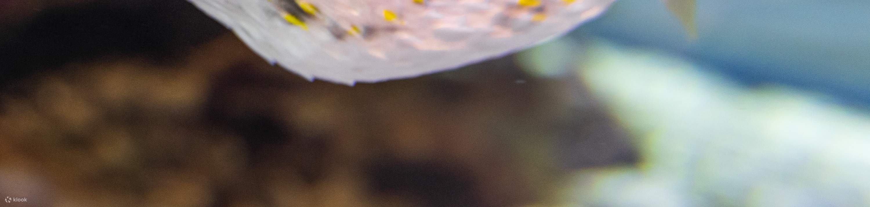 Entrada al Dolphin Discovery Center en Bunbury