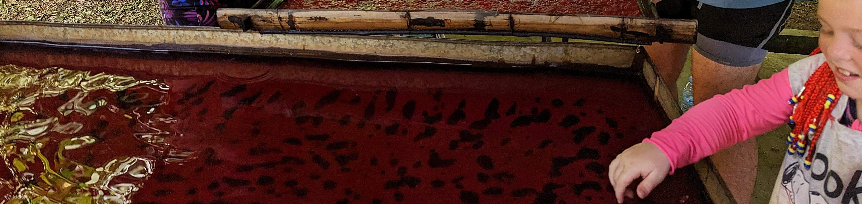 Experiencia con elefantes en Phuket