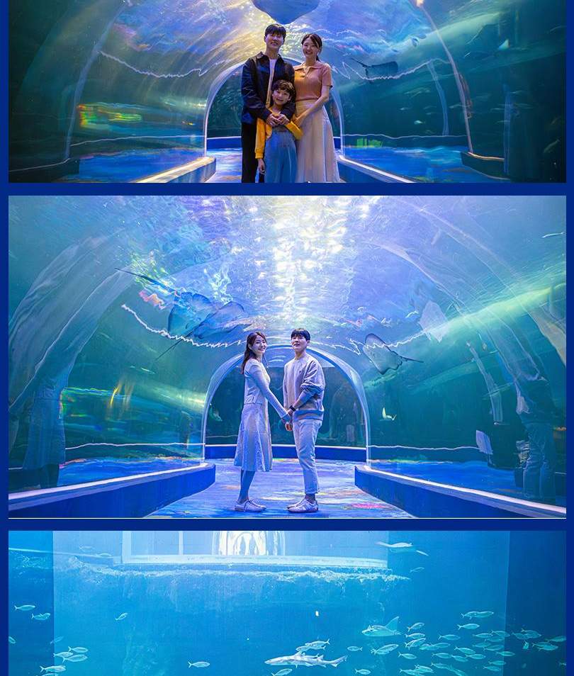 아쿠아플라넷 여수 입장권