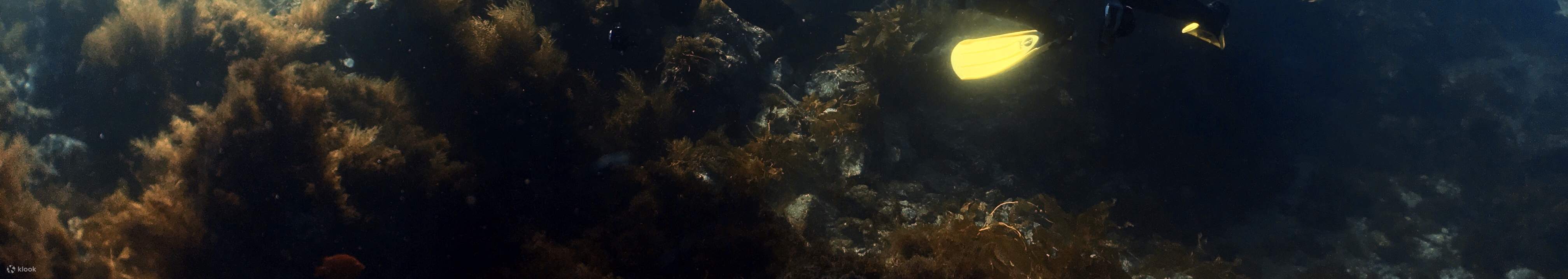 PADI開放水域潛水員