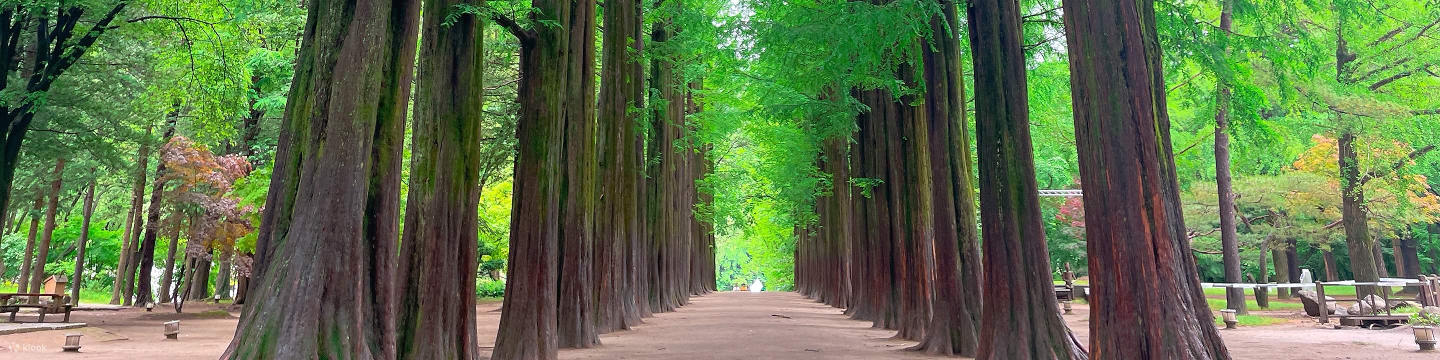 남이섬 입장권(QR 코드 바로 입장)