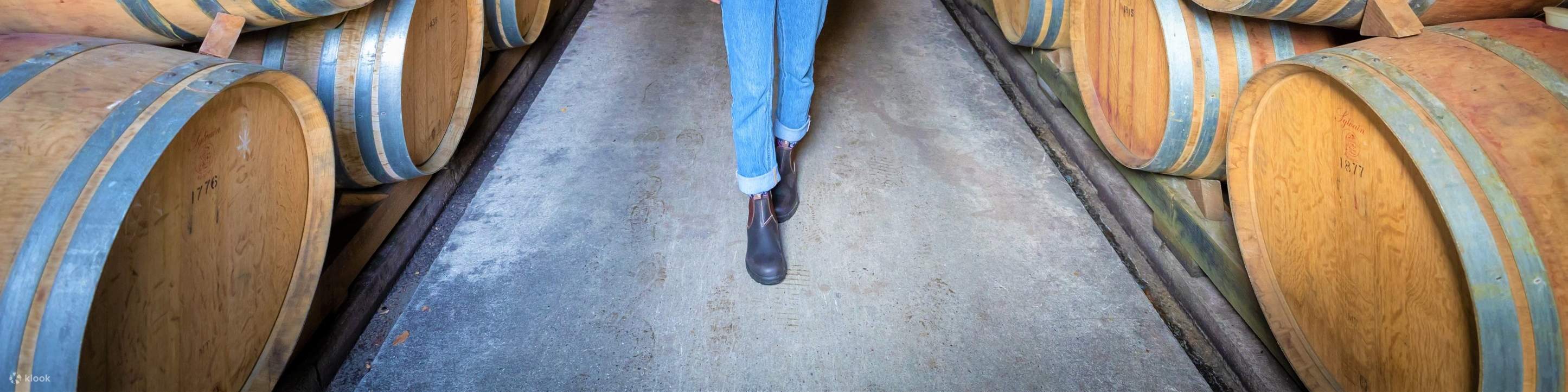 Lawatan Separuh Hari ke Ladang Wain Klasik Queenstown 