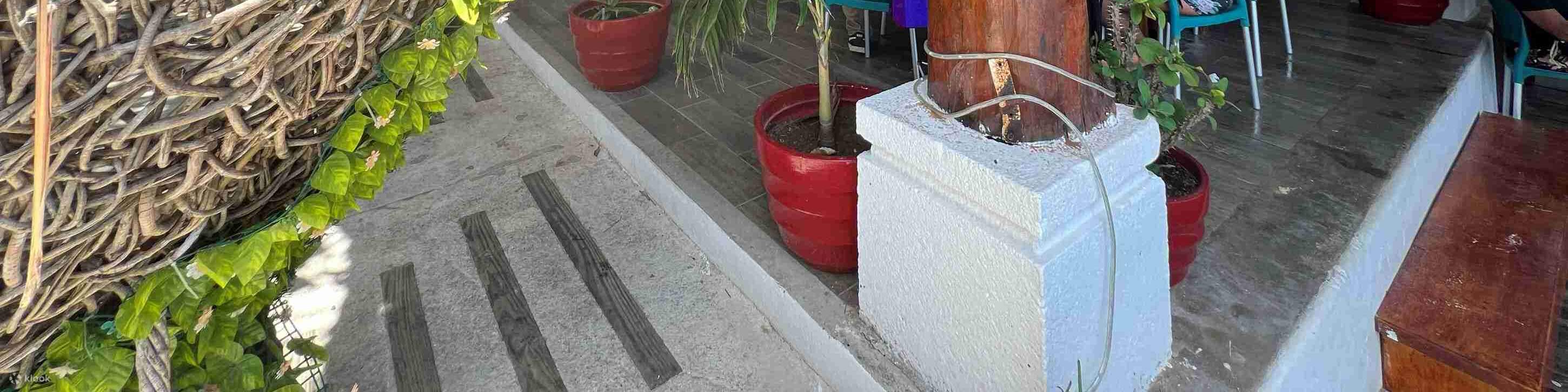 Nikmati hidangan makanan laut segar sambil bersantai di tepi kolam renang dalam kemewahan tropika