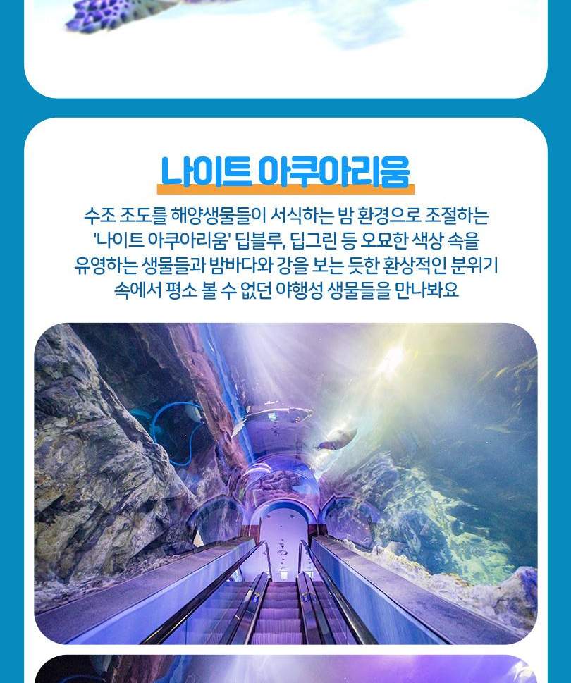 서울스카이 + 롯데월드 아쿠아리움 입장권