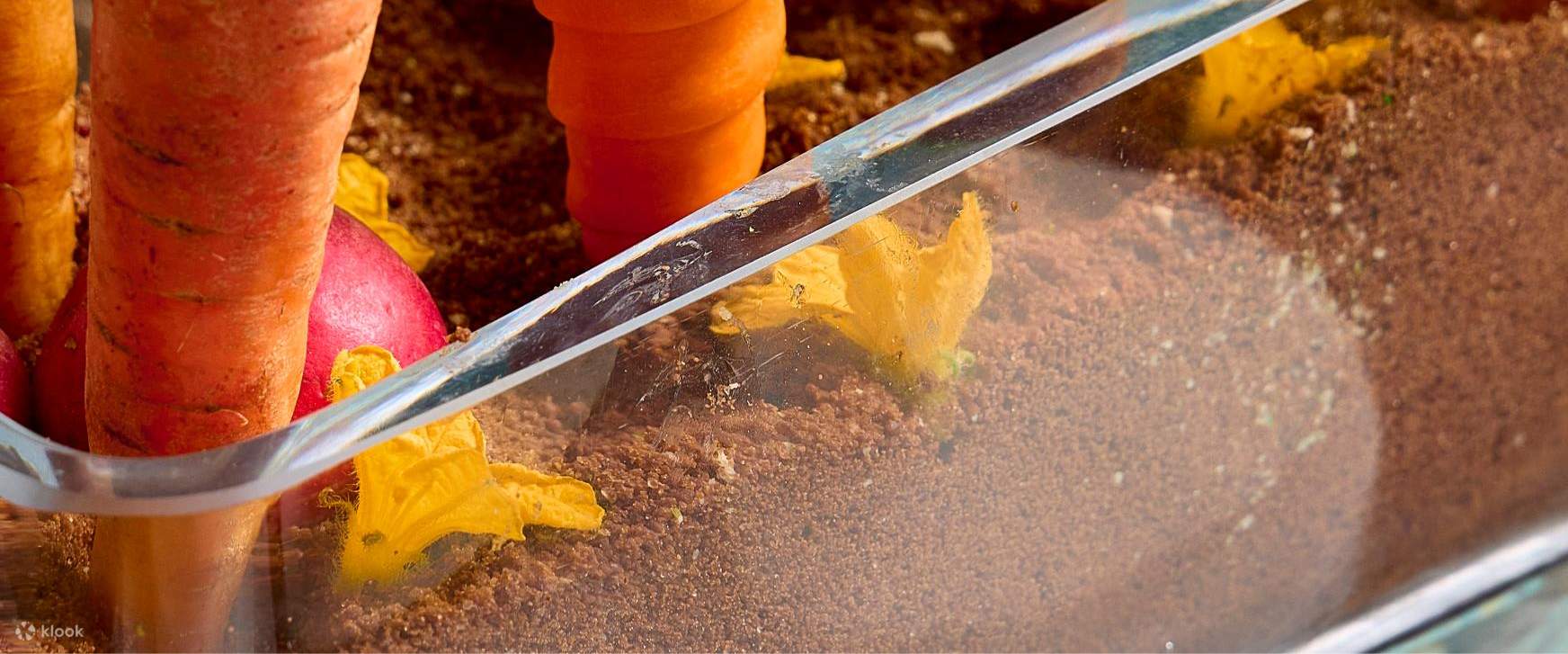 방콕 피콕 앨리 애프터눈 티 세트 by Waldorf Astoria