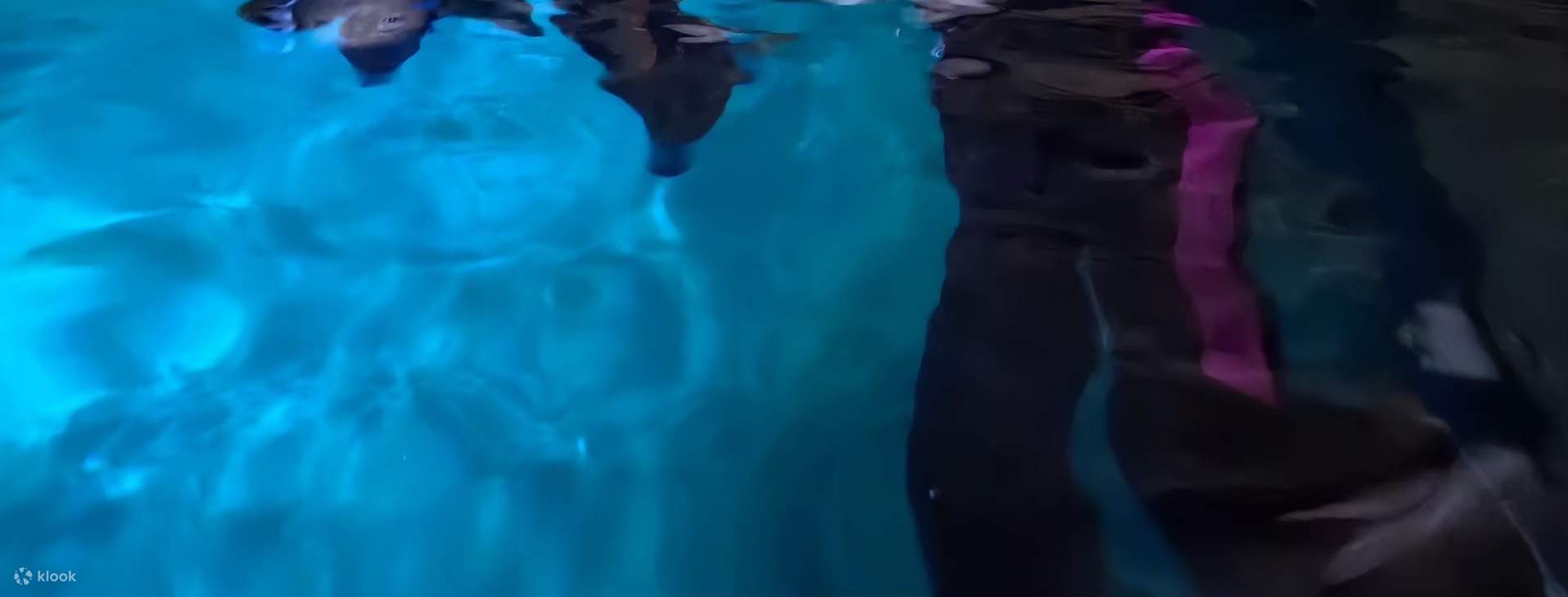 Okinawa, Japón｜Esnórquel en la Cueva Azul｜¡Instructores que hablan chino e inglés! Grabación con GoPro y alimentación submarina gratuita