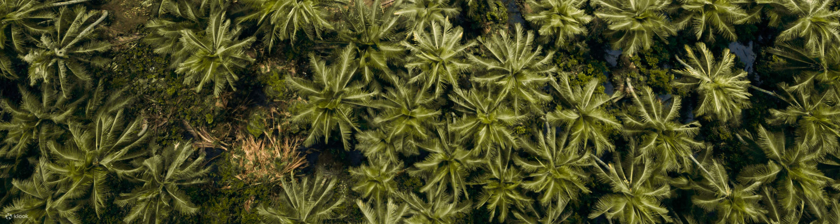 แม่น้ำหม่าซินเซียร์เกา