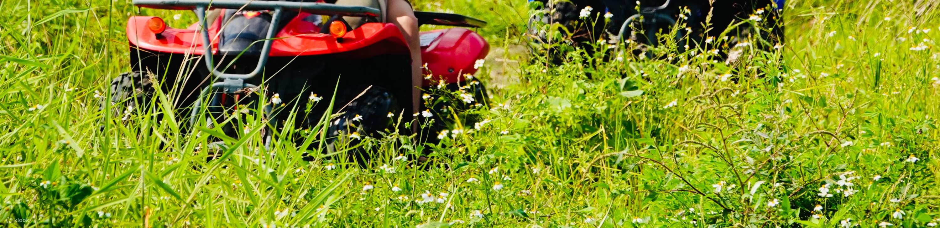 Il terreno variegato di Mambo Beach è una sorpresa