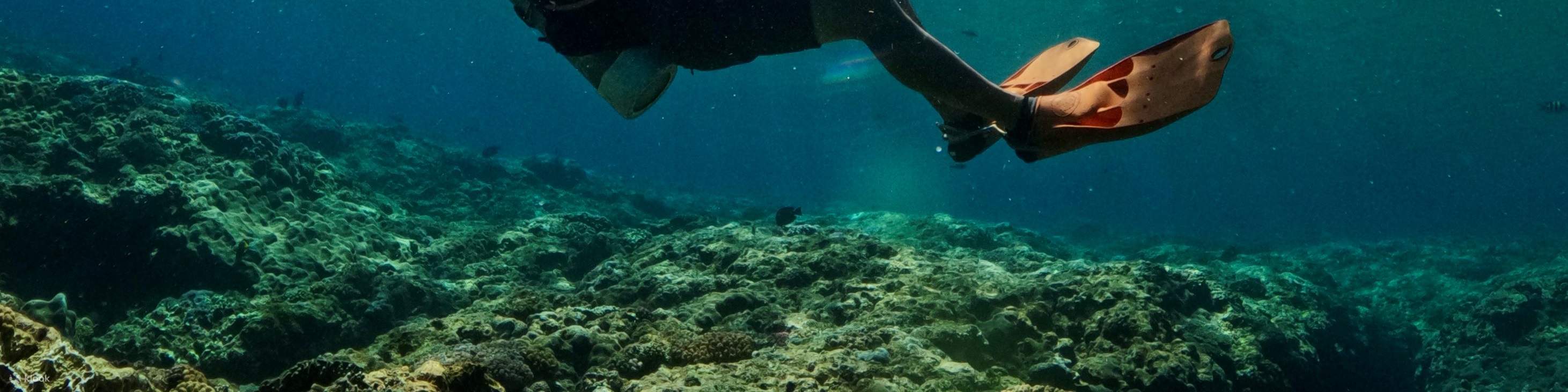 Taitung: Green Island Shuiqing Diving Hostel Taucherlebnis