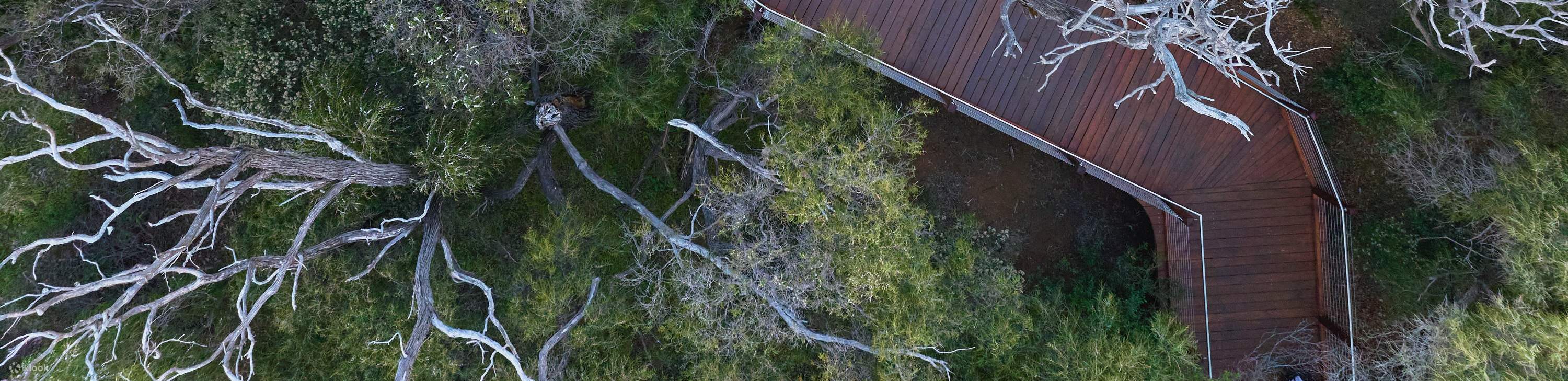 吉尔吉洞穴探索之旅