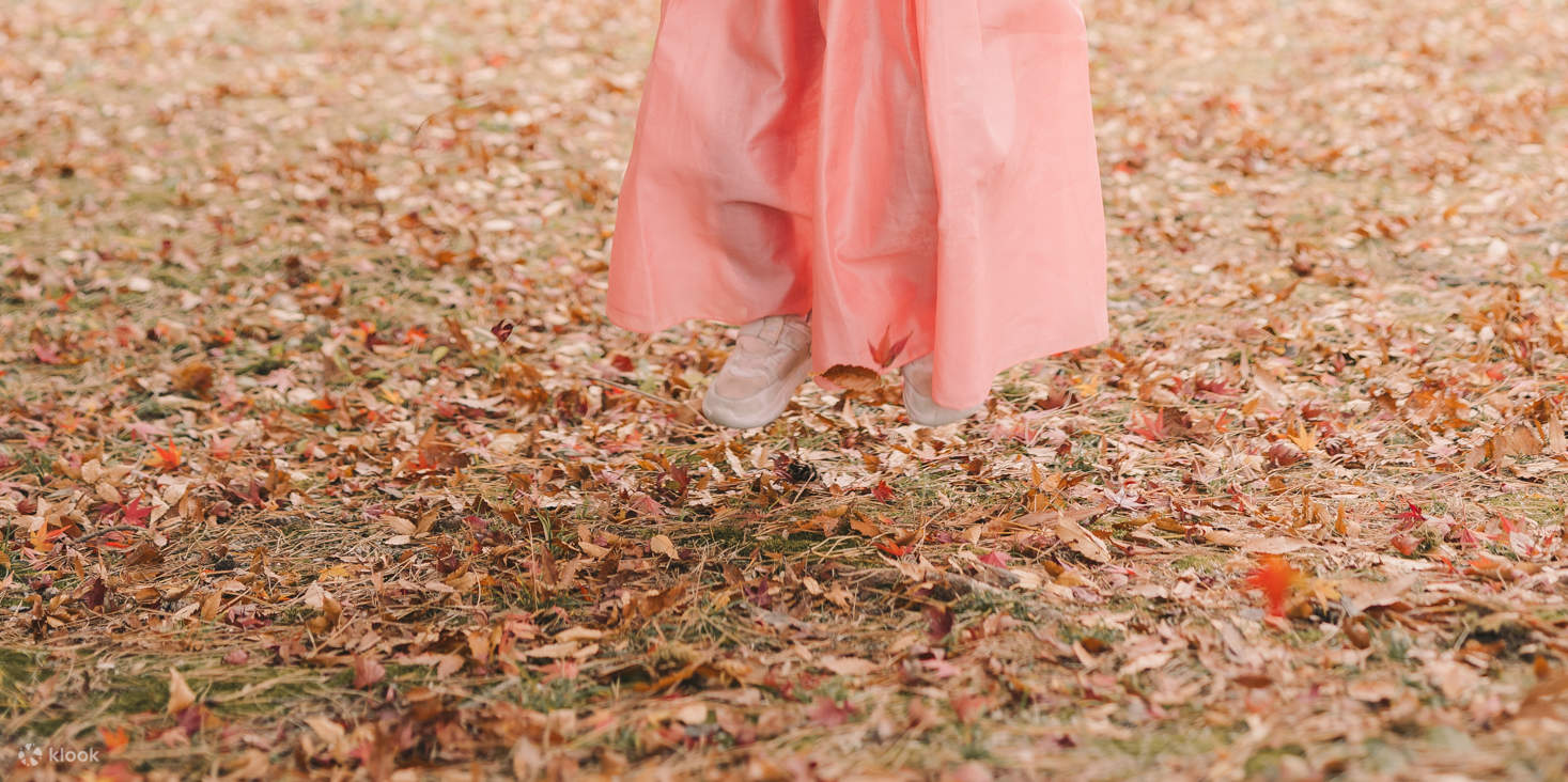 Pemandangan Seoul: Pengalaman Pemotretan