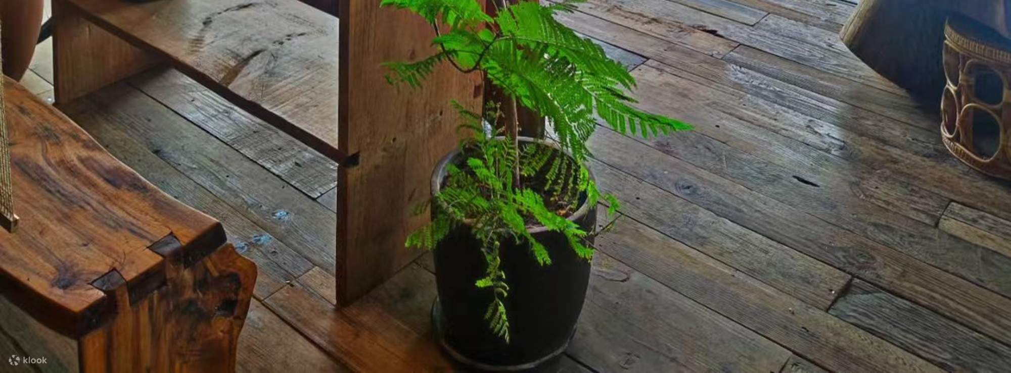 Chongqing Fulai Thé & Co