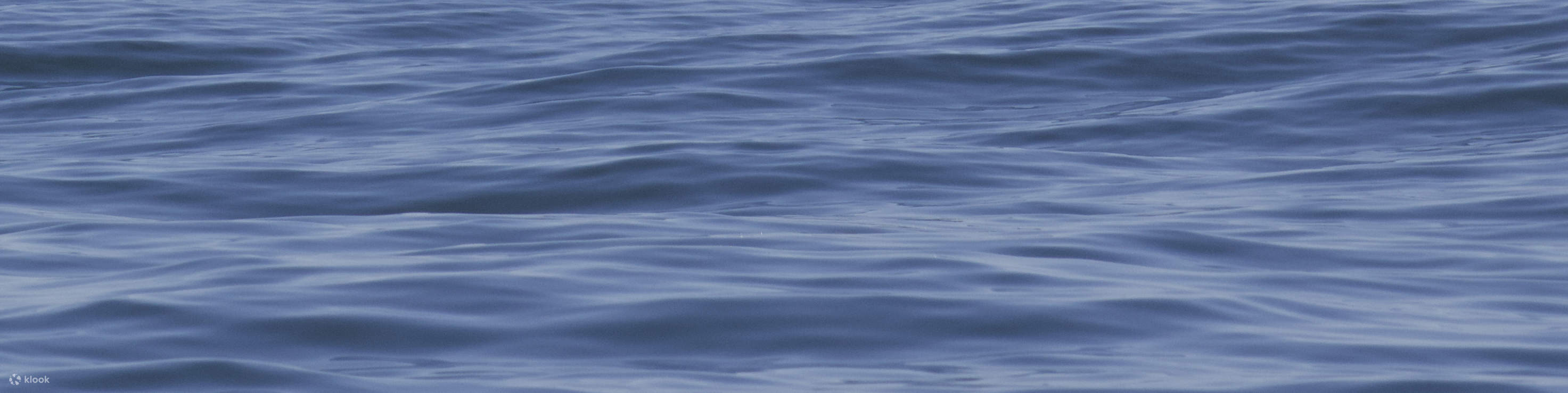 Pertemuan Hidupan Liar Lautan