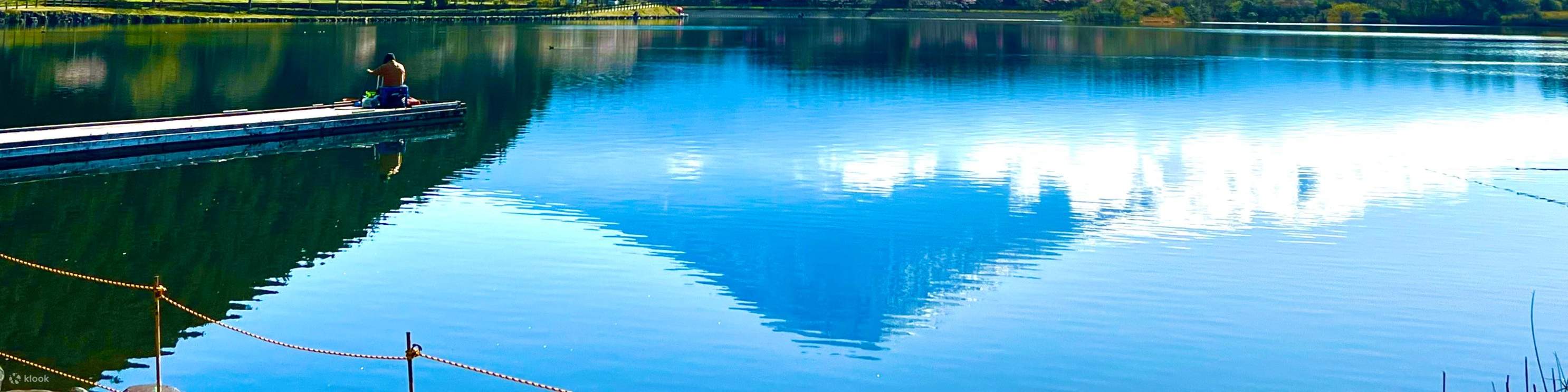 다누키호 캠핑장 벚꽃