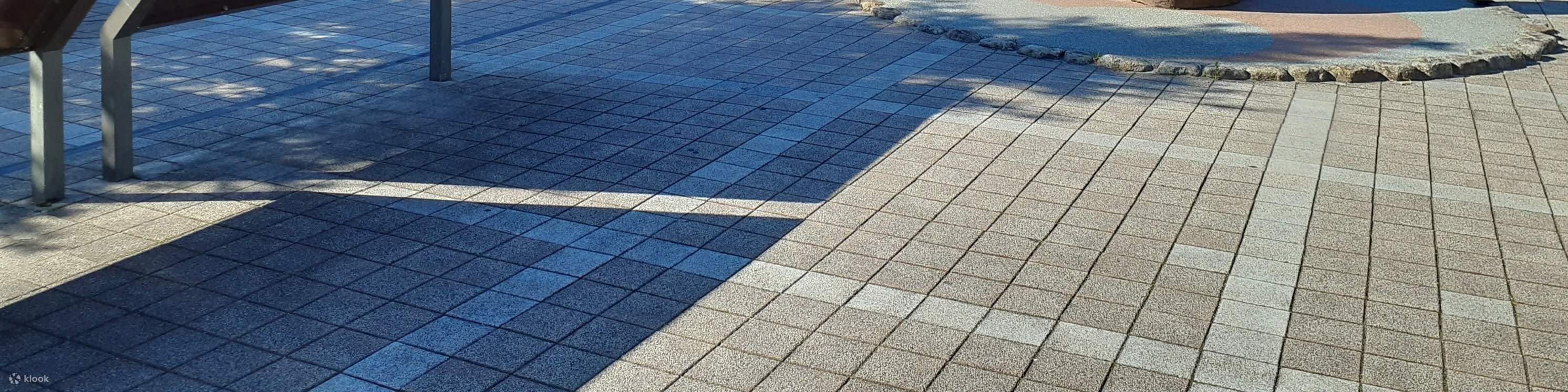 Bus Free Pass area di Kinugawa